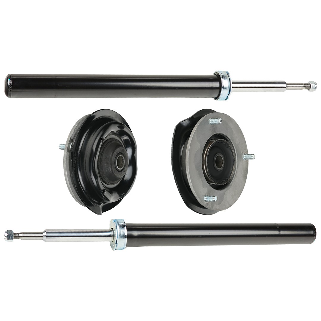 RIDEX Suspension kit, shock absorbers 1185S0059 PEUGEOT 406 RIDEX sport suspension 1185S0059