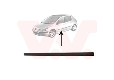 Friso, porta VAN WEZEL 4040403 VAN WEZEL 4040403 Friso porta PEUGEOT 307 2001