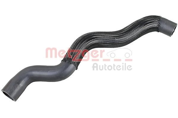 Flessibile radiatore METZGER 2421303 METZGER 2421303 Tubi radiatore Fiat TIPO 2020