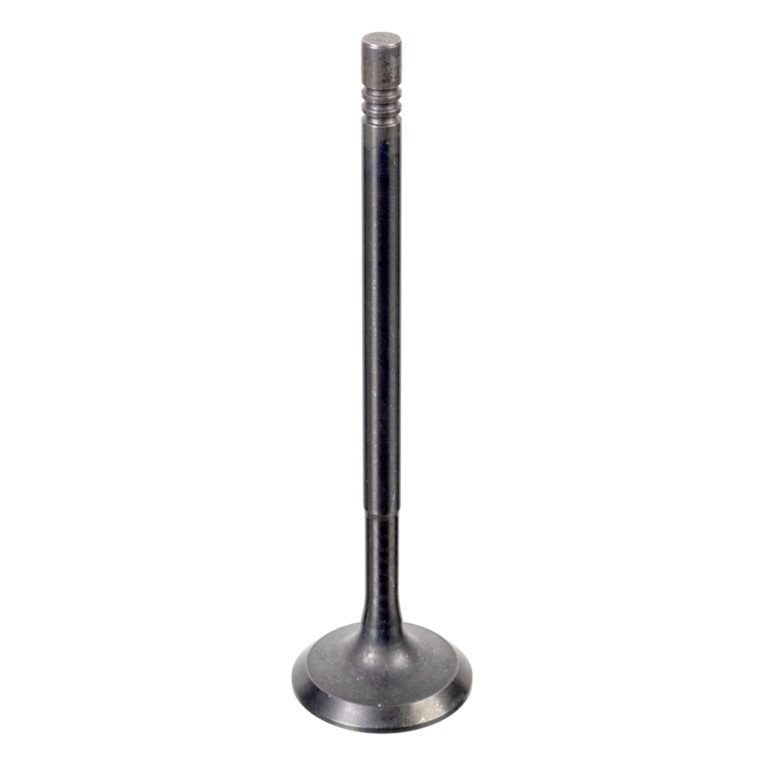 FEBI BILSTEIN Sací ventil 176538 176538 Sací ventil RENAULT ARKANA FEBI BILSTEIN