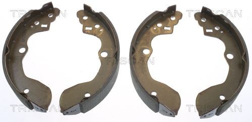 TRISCAN Bremsesko sett 8100 10632 8100 10632 Bremsesko TRISCAN SUZUKI BALENO