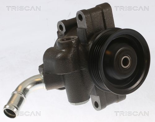 TRISCAN Servopumpe 8515 10636 Servostyringspumpe TRISCAN GALAXY 8515 10636 billige