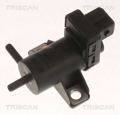 TRISCAN Trykkomformer, eksosstyring 8813 25046 Trykkomformer turbolader TRISCAN SANDERO 8813 25046 billige