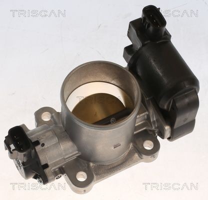 TRISCAN Corpo farfallato 8820 13010 8820 13010 Corpo farfallato CHRYSLER TRISCAN costo