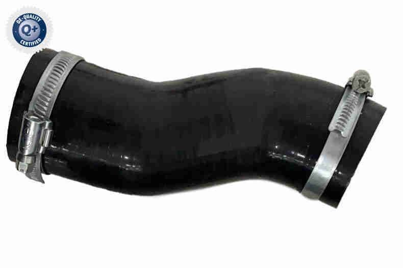 VAICO Ladeluftslange V42-0979 Intercooler slange VAICO QUBO V42-0979 billige