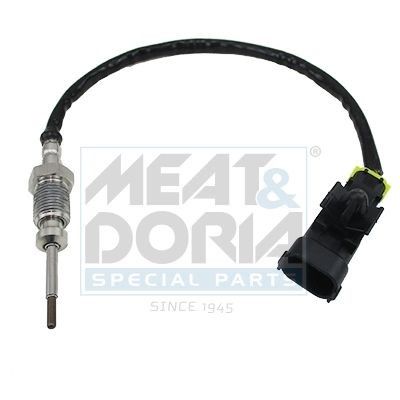 Sensor, udstødningsgastemperatur MEAT & DORIA 12032E MEAT & DORIA 12032E: Sensor udstødningsgastemperatur Hyundai SANTA FE 2002