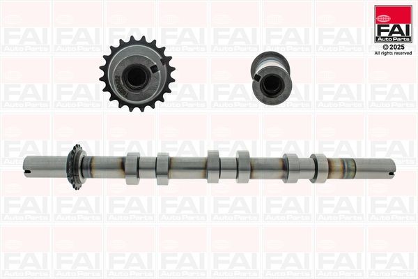 FAI AutoParts Nukkvõll C592 FAI AutoParts C592 Nukkvõllikomplekt Jaguar XF X250 Saloon odav