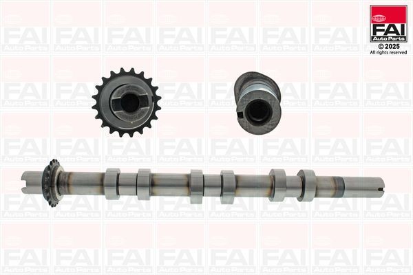 FAI AutoParts Albero a camme C593 FAI AutoParts C593 Kit alberi a camme Freelander 2 Van (L359) prezzo