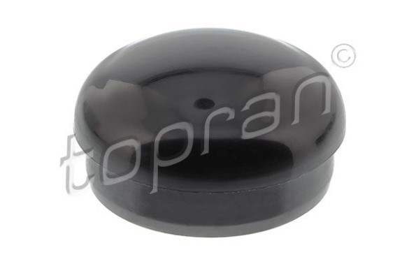TOPRAN Kappe, Wischarm 117 214 Volkswagen 1J2 Heckscheibenwischerarm 117 214 TOPRAN