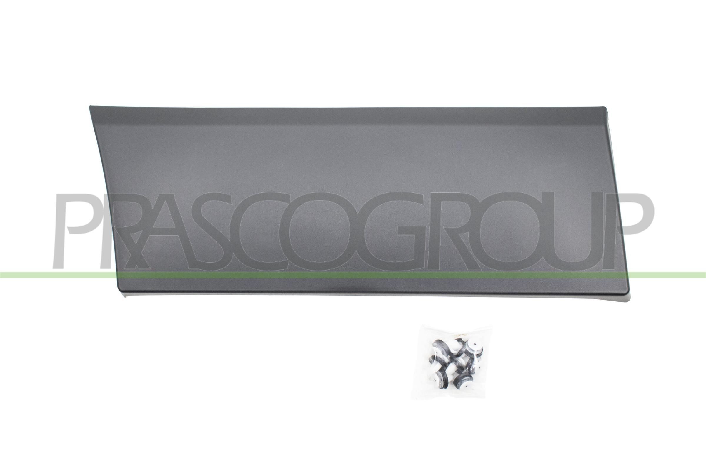 PRASCO Friso, guarda-lamas FT9001455 FT9001455 Friso guarda lamas FIAT IDEA PRASCO