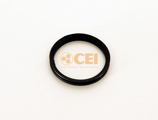 CEI Keerring, differentieel 239.093 239.093 Keerring, differentieel CEI FIAT 500