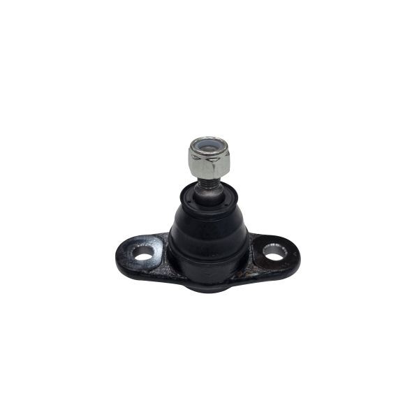 Fuseekogel CTR CB0220 CTR CB0220: Fuseekogels Kia RIO 2007