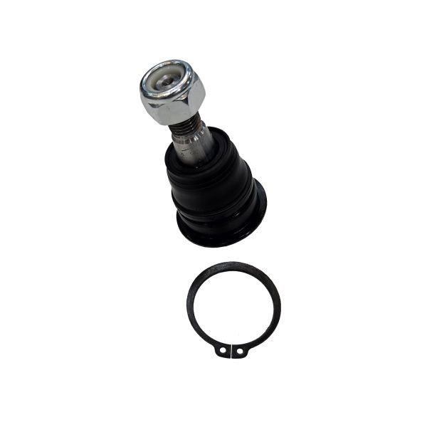 CTR Rótula de suspensão CB0326 CTR CB0326 Articulação de suspensão Nissan Primera P12 Hatchback originais preço