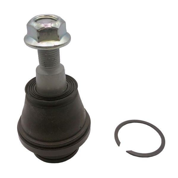 Rótula de suspensão CTR CB0461 CTR CB0461: Rótula de suspensão Ford RANGER 2025