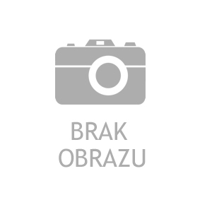 SCHLIECKMANN Rama szyby czołowej 410071 SCHLIECKMANN Ramy dachu / slupki drzwi 410071 opinie