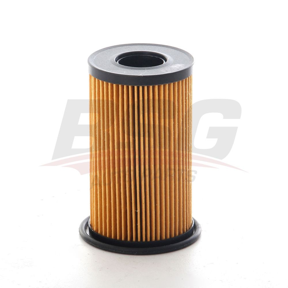 BSG Oliefilter BSG 15-140-010 Oil filter BSG PAJERO PININ BSG 15-140-010 billig