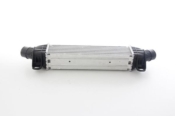 BSG Intercooler BSG 30-535-008 Radiator intercooler BSG FOCUS BSG 30-535-008 goedkoop