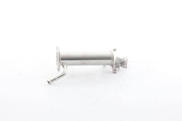 BSG Radiatore EGR BSG 30-725-116 BSG 30-725-116 costo Radiatore gas di scarico Volkswagen CC BSG