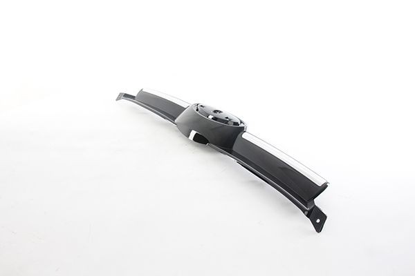 BSG Jäähdyttimen säleikkö BSG 30-922-203 Jäähdyttimen säleikkö BSG Kiiltävä, musta, Edessä