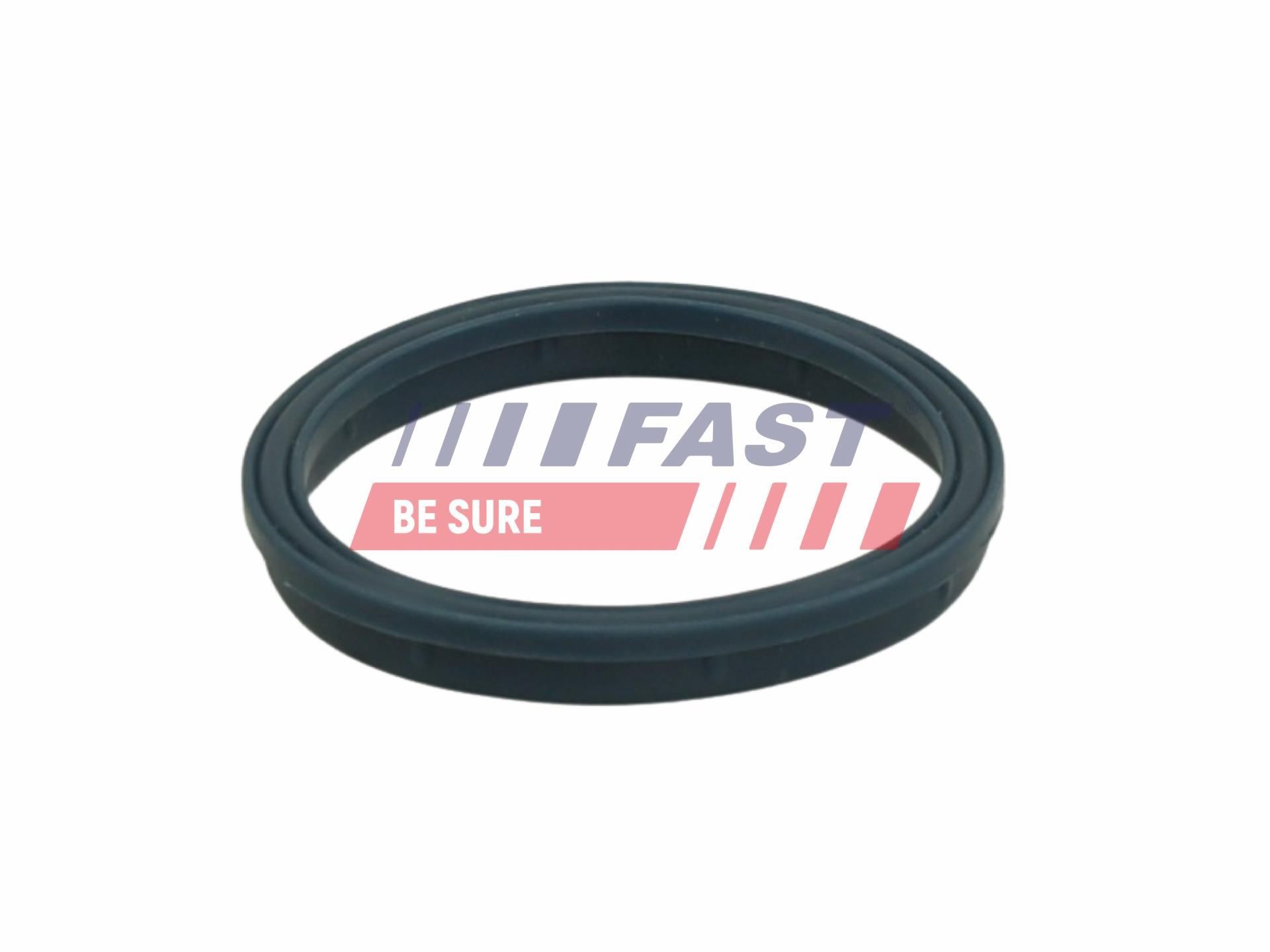 FAST Tesnenie kolena sac. potrubia FT49407 Tesnenie sacieho potrubia FAST IBIZA FT49407 lacné