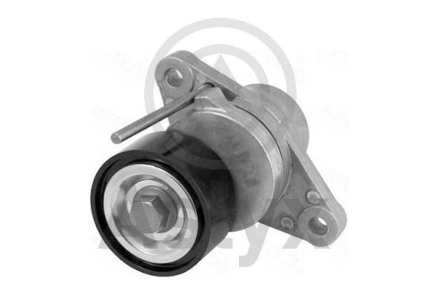 Aslyx Napínacie rameno rebrovaného klinového remeňa AS-506369 Napínacie rameno rebrovaného klinového remeňa Aslyx CLIO AS-506369 lacné