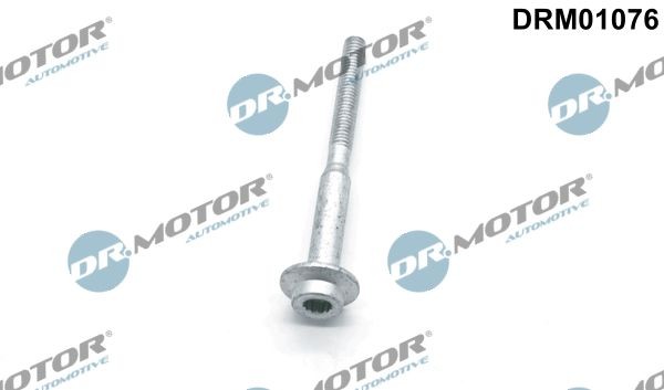 DR.MOTOR AUTOMOTIVE Skrutka, drżiak vstrekovacej trysky DRM01076 DR.MOTOR AUTOMOTIVE DRM01076 Ochranná podlożka proti zahrievaniu, vstrekovací systém BMW F10 cena