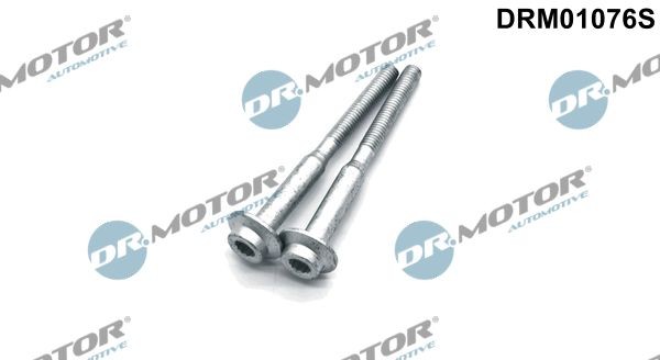 DR.MOTOR AUTOMOTIVE Schroef, inspuitstukhouder DRM01076S DRM01076S Brandplaatjes, injectiesysteem DR.MOTOR AUTOMOTIVE RENAULT LAGUNA