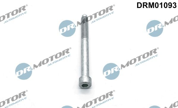 DR.MOTOR AUTOMOTIVE Kruvi, sissepritsedüüsi kinnitus DRM01093 DR.MOTOR AUTOMOTIVE DRM01093 Kaitseseib, sissepritsesüsteem Subaru Impreza GD odava hinnaga