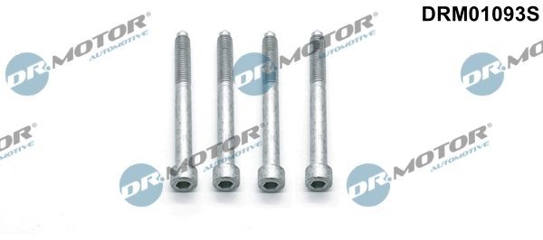DR.MOTOR AUTOMOTIVE Βίδα, βάση του μπεκ DRM01093S DR.MOTOR AUTOMOTIVE DRM01093S Θερμομονωτικός δίσκος, σύστημα ψεκασμού FIAT BRAVO κόστος