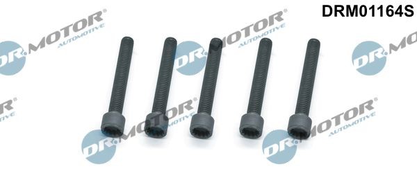 DR.MOTOR AUTOMOTIVE Schroef, inspuitstukhouder DRM01164S DRM01164S Brandplaat, verstuiver Volkswagen VENTO DR.MOTOR AUTOMOTIVE