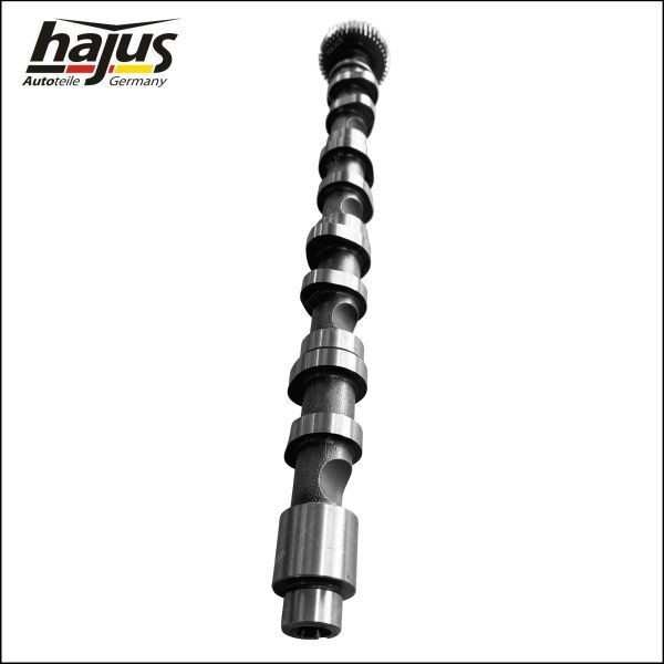 hajus Autoteile Nukkvõll 1091061 Nukkvõllikomplekt hajus Autoteile SCIROCCO 1091061 odav