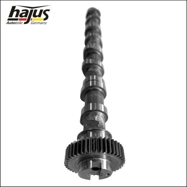 hajus Autoteile Kamaksel 1091062 1091062 Kamaksel VW SCIROCCO hajus Autoteile