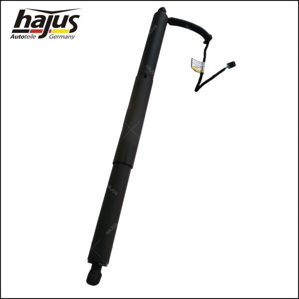 hajus Autoteile Ventola radiatore 1211316 1211316 Ventola radiatore hajus Autoteile AUDI A3 costo