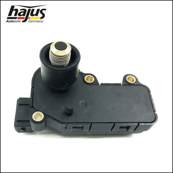 hajus Autoteile Élément d'ajustage, papillon des gaz 1311024 hajus Autoteile 1311024 Élément d'ajustage, papillon des gaz Audi A3 8P Sportback prix