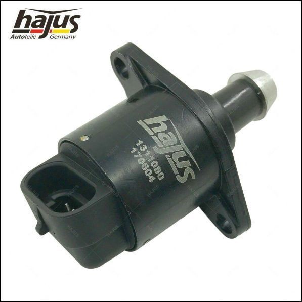 hajus Autoteile Regolatore minimo 1311080 1311080 costo Regolatore minimo hajus Autoteile RENAULT MEGANE