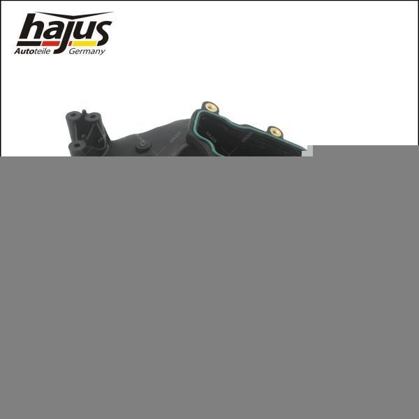 hajus Autoteile Ansaugbrücke 2511056 Saugrohrmodul hajus Autoteile EXEO 2511056 günstig