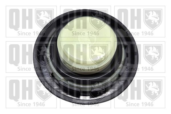 QUINTON HAZELL Oil filler cap FC583 SSANGYONG QUINTON HAZELL engine oil cap FC583