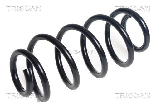 TRISCAN Jousi (auton jousitus) 8750 23231 8750 23231 TRISCAN Etujouset & takajouset MERCEDES-BENZ