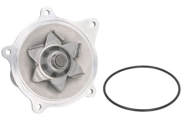 THERMOTEC Waterpomp D1Y004TT Koelwaterpomp THERMOTEC VOYAGER D1Y004TT goedkoop