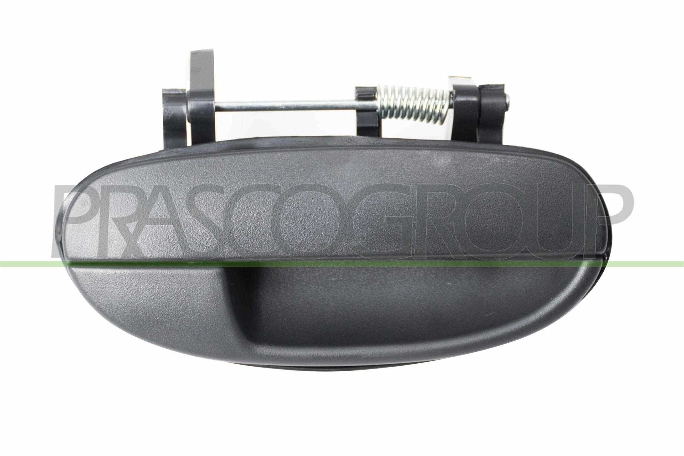 Door Handle PRASCO DW0208101 PRASCO DW0208101 Daewoo LANOS 2021 Door handles price