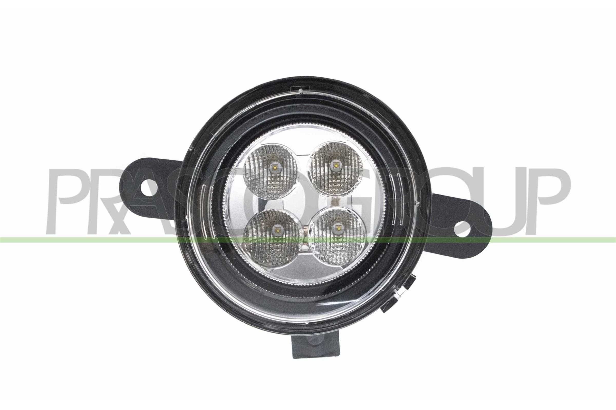 PRASCO Side indicator RN2024014 RN2024014 PRASCO side indicators for RENAULT 19