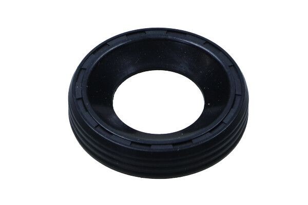 MAXGEAR Blīve, Sprauslas korpuss 70-0109 Sprauslu blīves MAXGEAR A4 70-0109 lēti