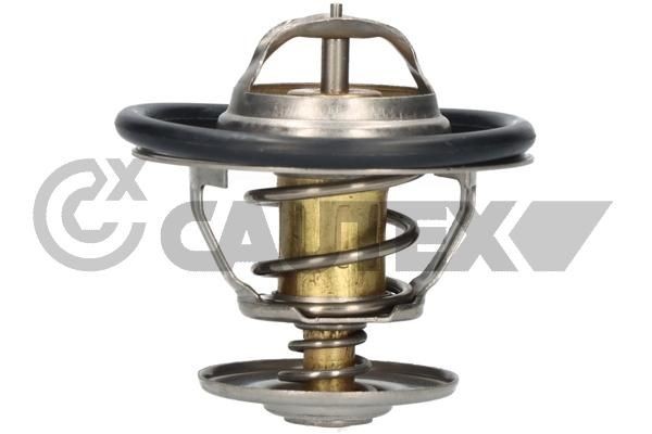 CAUTEX Termostat chladenia 770197 770197 Termostat HYUNDAI ELANTRA CAUTEX