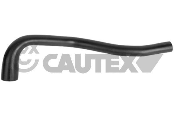 CAUTEX Tubo flexível do ar de sobrealimentação 770349 Mangueiras de turbo CAUTEX Ford GALAXY 770349