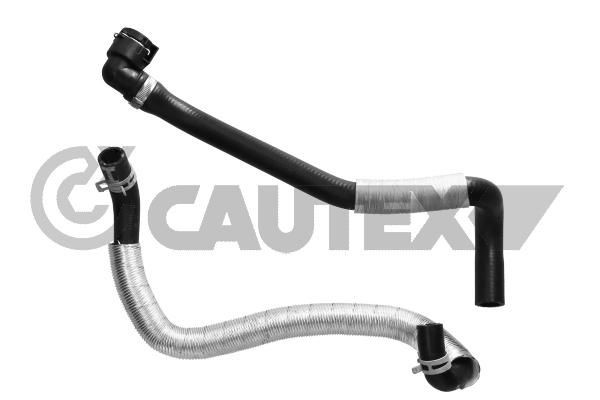CAUTEX Radiator hose 771033 Ford FIESTA CAUTEX radiator hose 771033
