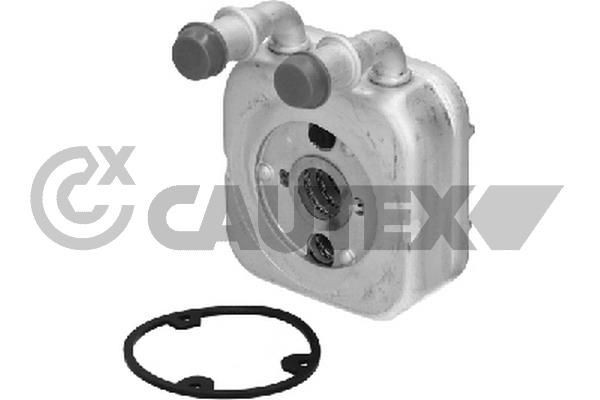 CAUTEX Radiateur d'huile 771496 771496 CAUTEX Radiateur d'huile Ford pas cher