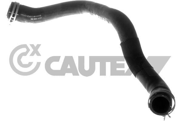 CAUTEX Radiator hose 771628 Ford FIESTA CAUTEX radiator hose 771628