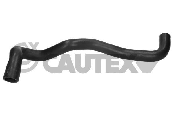 CAUTEX Flessibile radiatore 771690 771690 costo Tubi radiatore KIA RIO CAUTEX