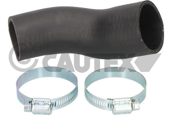 CAUTEX Ladeluftschlauch 771696 Ladeluftleitung CAUTEX RANGER 771696 günstig