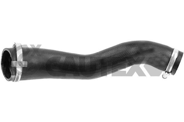 CAUTEX Laddluftslang 771698 771698 CAUTEX intercooler slang FORD TRANSIT